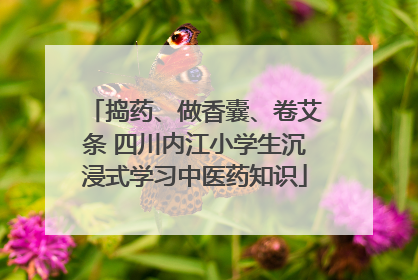 捣药、做香囊、卷艾条 四川内江小学生沉浸式学习中医药知识