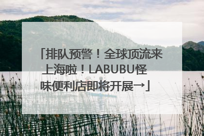 排队预警！全球顶流来上海啦！LABUBU怪味便利店即将开展→