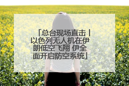 总台现场直击丨以色列无人机在伊朗低空飞翔 伊全面开启防空系统