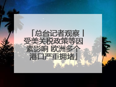 总台记者观察丨受美关税政策等因素影响 欧洲多个港口严重拥堵