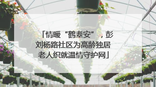 情暖“鹤耋安”，彭刘杨路社区为高龄独居老人织就温情守护网