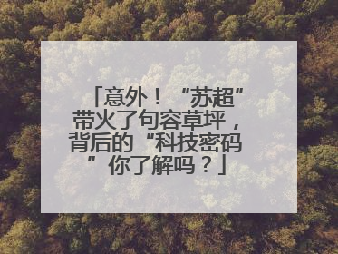 意外！“苏超”带火了句容草坪，背后的“科技密码”你了解吗？