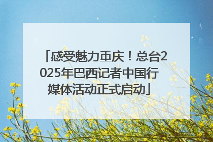 感受魅力重庆！总台2025年巴西记者中国行媒体活动正式启动