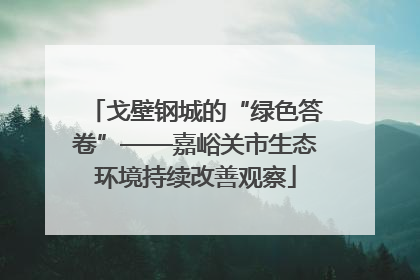 戈壁钢城的“绿色答卷”——嘉峪关市生态环境持续改善观察
