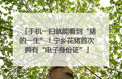 手机一扫就能看到“猪的一生”！宁乡花猪首次拥有“电子身份证”