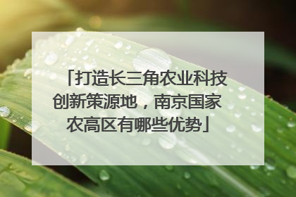 打造长三角农业科技创新策源地，南京国家农高区有哪些优势