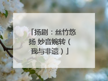 扬剧：丝竹悠扬 妙音婉转（我与非遗）