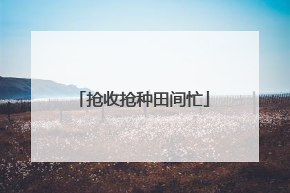 抢收抢种田间忙