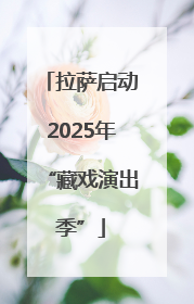 拉萨启动2025年“藏戏演出季”