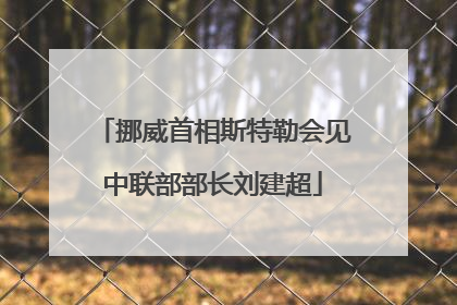 挪威首相斯特勒会见中联部部长刘建超