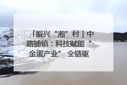 振兴“湘”村｜中路铺镇：科技赋能“金蛋产业” 全链驱动乡村振兴
