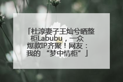 杜淳妻子王灿兮晒整柜Labubu，一众爆款IP齐聚！网友：我的 “梦中情柜”