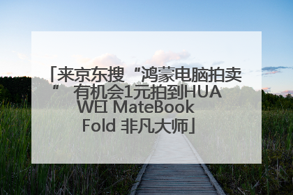 来京东搜“鸿蒙电脑拍卖” 有机会1元拍到HUAWEI MateBook Fold 非凡大师