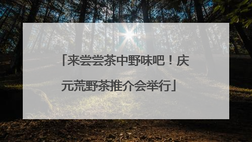 来尝尝茶中野味吧！庆元荒野茶推介会举行