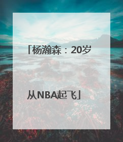 杨瀚森：20岁从NBA起飞