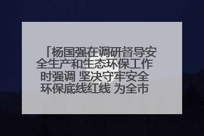 杨国强在调研督导安全生产和生态环保工作时强调 坚决守牢安全环保底线红线 为全市经济社会高质量发展提供坚强保障