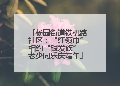 杨园街道铁机路社区：“红领巾”相约“银发族” 老少同乐庆端午