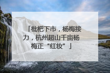 枇杷下市，杨梅接力，杭州超山千亩杨梅正“红妆”
