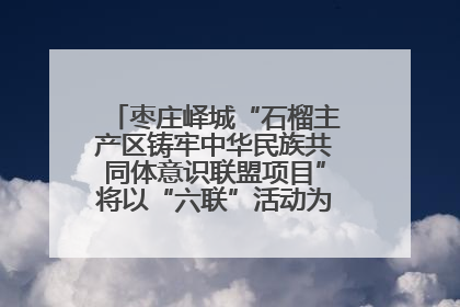 枣庄峄城“石榴主产区铸牢中华民族共同体意识联盟项目”将以“六联”活动为抓手深化品牌建设