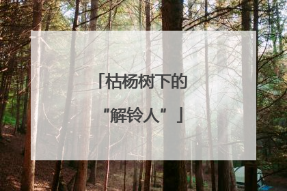 枯杨树下的“解铃人”