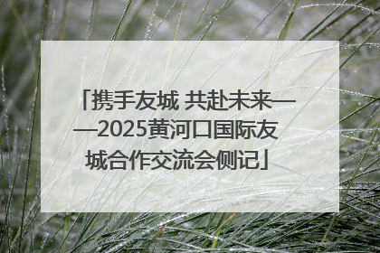 携手友城 共赴未来——2025黄河口国际友城合作交流会侧记