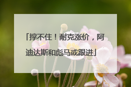 撑不住！耐克涨价，阿迪达斯和彪马或跟进