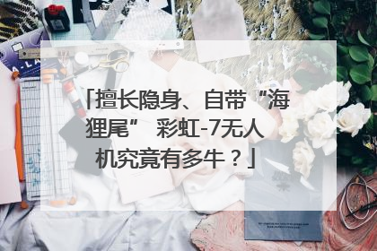 擅长隐身、自带“海狸尾” 彩虹-7无人机究竟有多牛？
