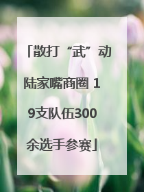 散打“武”动陆家嘴商圈 19支队伍300余选手参赛