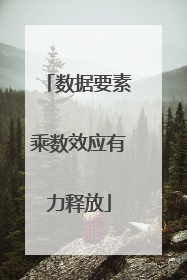 数据要素乘数效应有力释放