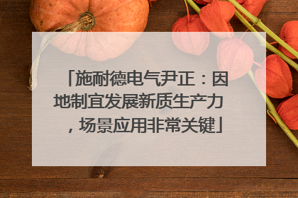 施耐德电气尹正：因地制宜发展新质生产力，场景应用非常关键