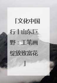 文化中国行丨山东巨野：工笔画绽放致富花