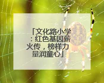文化路小学：红色基因薪火传，榜样力量润童心