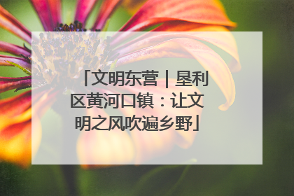 文明东营｜垦利区黄河口镇：让文明之风吹遍乡野