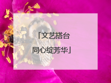 文艺搭台 同心绽芳华
