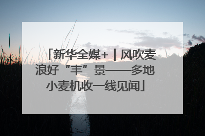 新华全媒+｜风吹麦浪好“丰”景——多地小麦机收一线见闻