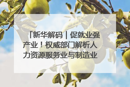 新华解码｜促就业强产业！权威部门解析人力资源服务业与制造业融合发展试点