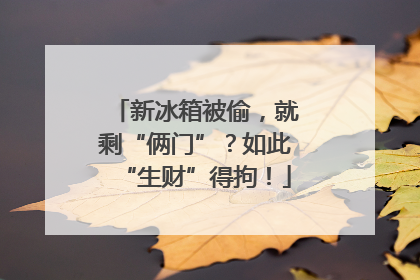 新冰箱被偷，就剩“俩门”？如此“生财”得拘！