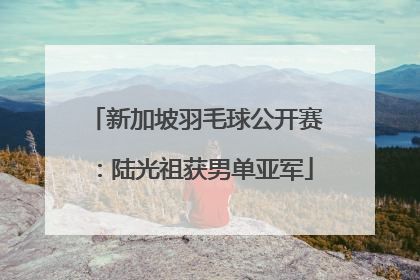 新加坡羽毛球公开赛：陆光祖获男单亚军