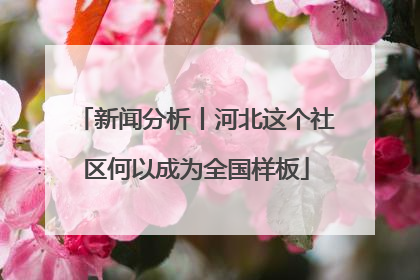 新闻分析丨河北这个社区何以成为全国样板