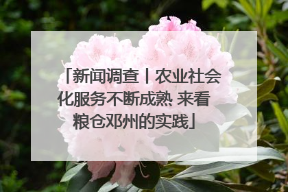 新闻调查丨农业社会化服务不断成熟 来看粮仓邓州的实践