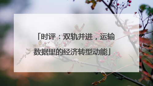 时评：双轨并进，运输数据里的经济转型动能