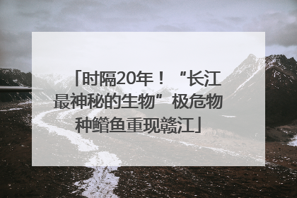 时隔20年！“长江最神秘的生物”极危物种鳤鱼重现赣江