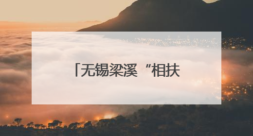 无锡梁溪“相扶溪阳”活动开启科技助老新篇章