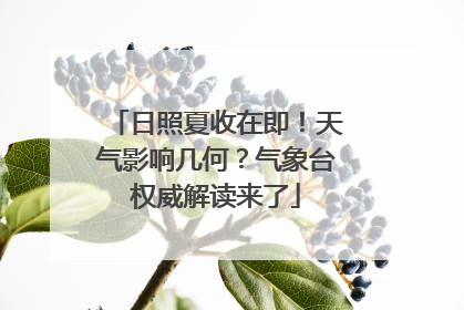 日照夏收在即！天气影响几何？气象台权威解读来了