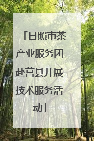 日照市茶产业服务团赴莒县开展技术服务活动