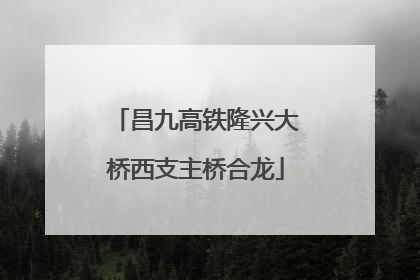 昌九高铁隆兴大桥西支主桥合龙