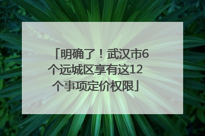 明确了！武汉市6个远城区享有这12个事项定价权限