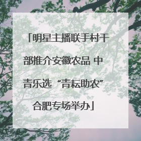 明星主播联手村干部推介安徽农品 中青乐选“青耘助农”合肥专场举办