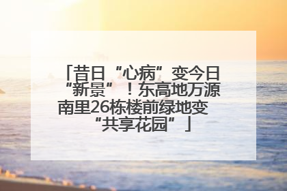 昔日“心病”变今日“新景”！东高地万源南里26栋楼前绿地变“共享花园”