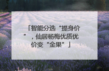智能分选“提身价”，仙居杨梅优质优价变“金果”